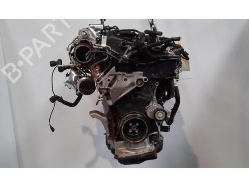 Engine VW GOLF VIII (CD1, DA1) 2.0 TDI | BP29214651M1 