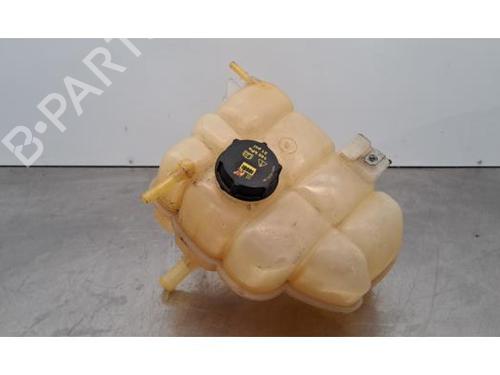Used Expansion tank FORD RANGER (TKE) 2.0 EcoBlue 4x4 (213 hp) 30194864