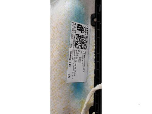 Interior roof AUDI A3 Sportback (8YA, 8YF) 30 TDI | BP32150327I12 