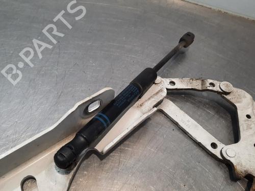 Hinge/Door check strap BMW 1 (F20) 114 i | BP15031262C146 