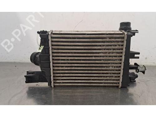 Used Intercooler Intercooler RENAULT EXPRESS Box Body/MPV 1.3 TCe 100 (F6MA) (102 hp) 30187424 30187424