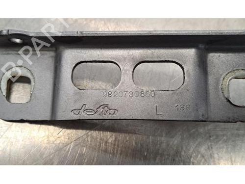 Hinge/Door check strap PEUGEOT 2008 II (UD_, US_, UY_, UJ_, UR_, UC_) 1.5 BlueHDI 100 | BP28067477C146 