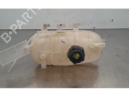 ekpansionstank-renault-trafic-iii-van-fg_-2014-36169471 main image