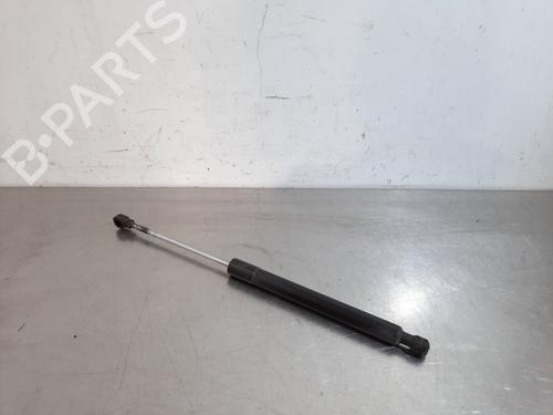 Used Hood lift support RENAULT CLIO IV (BH_) 1.5 dCi 75 (75 hp) 17113027