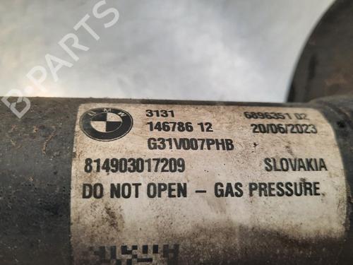 Left front shock absorber BMW 5 Touring (G31) 530 e Plug-in-Hybrid | BP19650097M16 