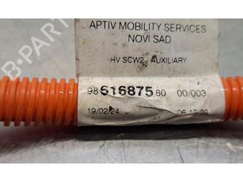 Cable CITROËN C3 IV (CC_, CB_) ë-C3 (CBZYAZ) | BP32408396E12