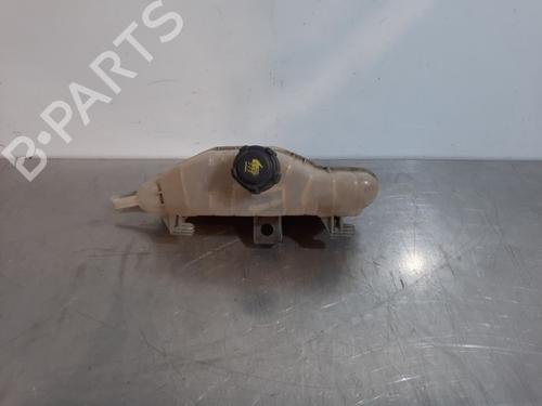 Expansion tank RENAULT CLIO III (BR0/1, CR0/1) 1.2 16V (BR0R, BR1D, BR1L, CR0R) | BP21268312C120 