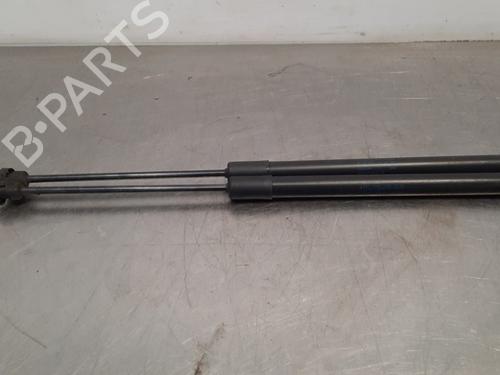 Used Tailgate lift support VW GOLF VII (5G1, BQ1, BE1, BE2) 1.6 TDI (115 hp) 15038515