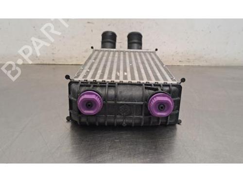 Intercooler DS DS 3 / DS 3 CROSSBACK (UR_, UC_, UJ_) 1.2 Hybrid 136 (URHPYF) | BP35315069M30 - Image 3