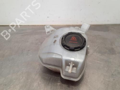 Used Expansion tank SKODA KAMIQ (NW4) 1.0 TSI (110 hp) 15040283