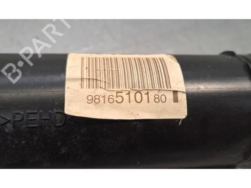 Left rear shock absorber PEUGEOT EXPERT Van (V_) 1.5 BlueHDi 120 | BP29600758M18 