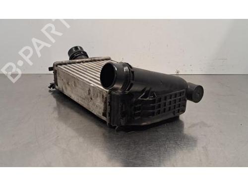 Intercooler NISSAN MICRA V (K14) 1.0 IG-T 100 | BP32161730M30 