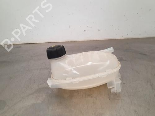 Used Expansion tank RENAULT CAPTUR II (HF_) TCe 130 (HFMF) (131 hp) 15793248
