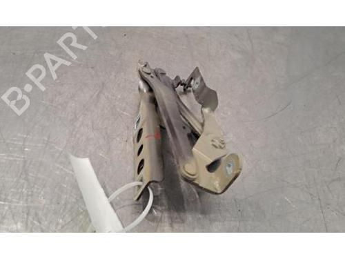Hinge/Door check strap PEUGEOT 3008 II SUV (MC_, MR_, MJ_, M4_) 1.5 BlueHDi 130 | BP29214838C146 