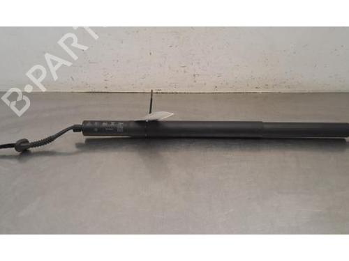 Used Tailgate lift support Tailgate lift support VW TIGUAN (CT1) 1.5 TSI eHybrid (204 hp) 34254270 34254270