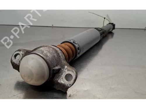 Højre bagtil støddæmper AUDI A3 Sportback (8YA, 8YF) 30 TDI | BP32158602M19 