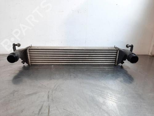 Used Intercooler Intercooler JEEP RENEGADE SUV (BU, B1, BV) 1.6 CRD (120 hp) 34117826 34117826