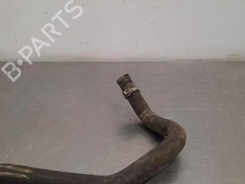 Pipe FORD TOURNEO CONNECT / GRAND TOURNEO CONNECT V408 MPV 1.6 TDCi | BP19633033M125 