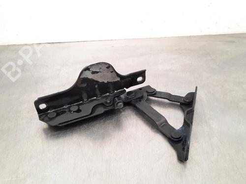 Hinge/Door check strap TESLA MODEL S (5YJS) 70D AWD BP20692691C146