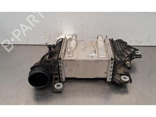 Intercooler VW TRANSPORTER T6 Van (SGA, SGH, SHA, SHH) 2.0 TDI | BP30806776M30