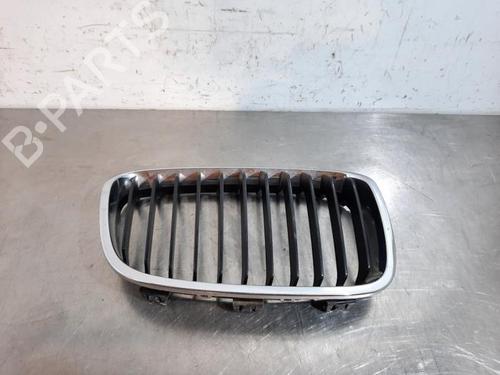 Used Grille BMW 1 (F20) 116 d (116 hp) 23584952