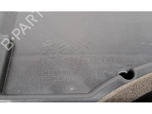 Elektronisk modul DS DS 9 (X2_) 1.6 E-TENSE 225 (X2DGZR) | BP23641329M83 