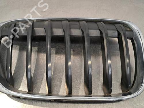 Grille BMW X1 (F48) sDrive 16 d | BP23603299C40 