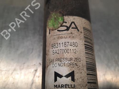 Right rear shock absorber PEUGEOT 208 II (UB_, UP_, UW_, UJ_) 1.5 BlueHDI 100 | BP23602268M19 