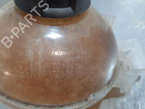 Expansion tank PEUGEOT 308 II (LB_, LP_, LW_, LH_, L3_) 1.5 BlueHDi 130 | BP23595720C120 