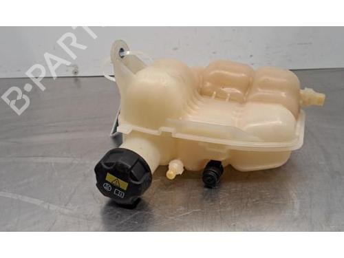 Used Expansion tank BMW 1 (F40) 118 i (140 hp) 32398645