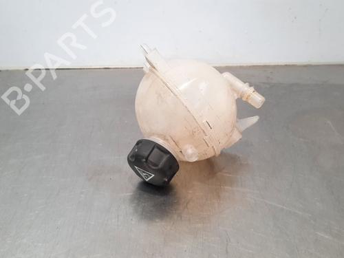 Used Expansion tank PEUGEOT PARTNER Box Body/MPV 1.6 BlueHDi 100 (100 hp) 11727877