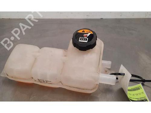 Expansion tank HYUNDAI IONIQ (AE) Electric 25430G2800