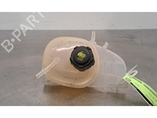 Used Expansion tank RENAULT TWINGO III (BCM_, BCA_) 1.0 SCe 70 (71 hp) 29600605