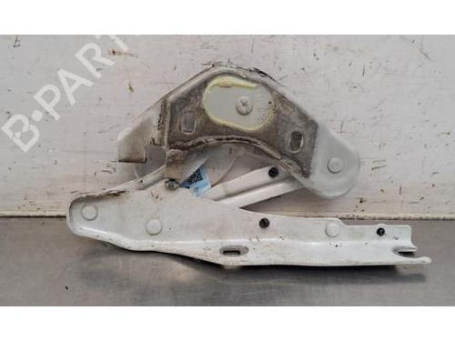 Used Hinge/Door check strap Hinge/Door check strap AUDI A1 Sportback (8XA, 8XF) 1.4 TDI (90 hp) 36309817 36309817