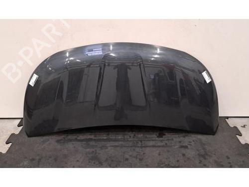 Used Hood Hood NISSAN PRIMASTAR Van (X82) 2.0 dCi 130 (131 hp) 39995089 39995089
