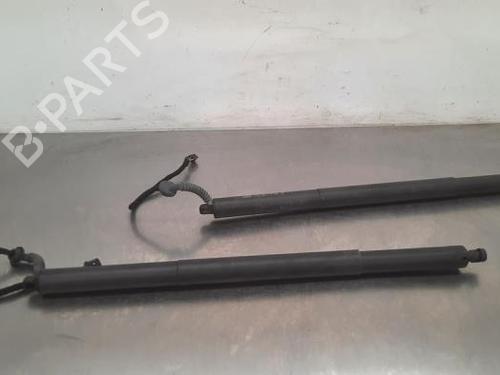 Used Tailgate lift support AUDI Q5 (FYB, FYG) 2.0 TDI (150 hp) 23612187