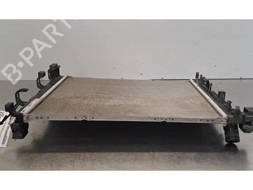 Used Water radiator Water radiator DACIA SANDERO III 1.0 SCe 65 (67 hp) 40050025 40050025