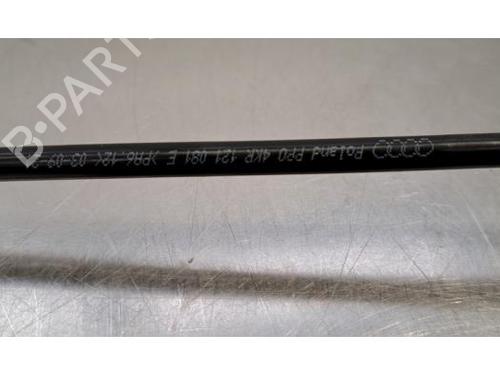 Pipe AUDI E-TRON Sportback (GEA) 50 quattro | BP29234263M125 