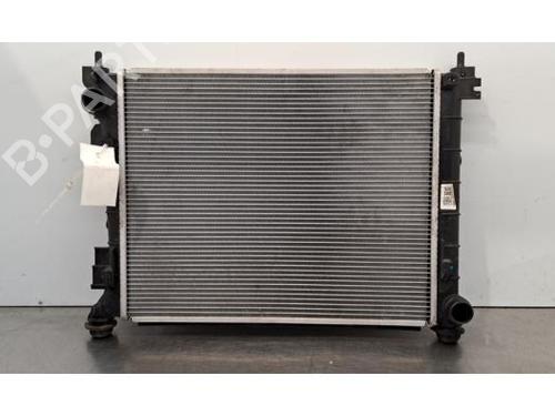 Used Water radiator KIA RIO IV (YB, SC, FB) 1.0 T-GDI 100 (101 hp) 30381725