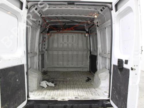 - Image 19