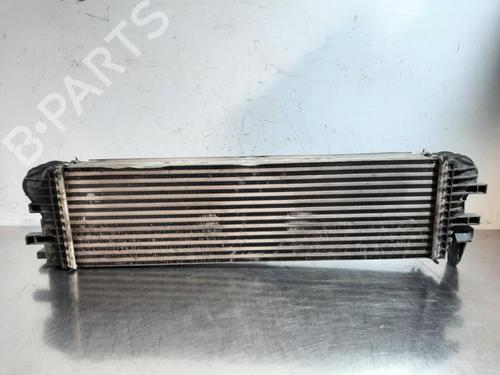 Intercooler MERCEDES-BENZ SPRINTER 3-t Van (B910) 214 CDI (910.621, 910.623) | BP24157088M30