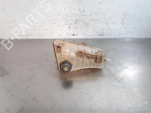 Used Expansion tank RENAULT KANGOO Express (FW0/1_) 1.5 dCi 70 (FW0A, KW0V) (68 hp) 25905371