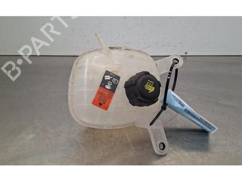 Ekpansionstank Ekpansionstank NISSAN QASHQAI III (J12) 1.3 DIG-T (140 hp) 34120593 34120593