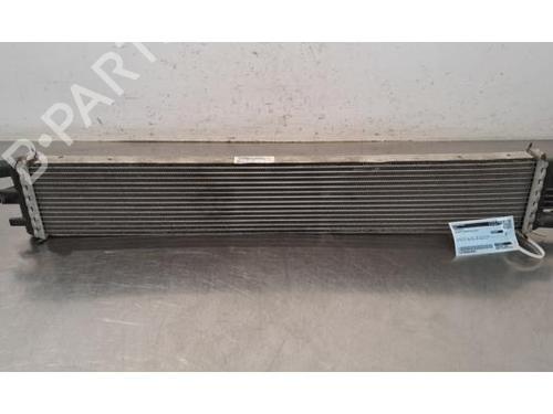 Radiador agua Radiador agua RENAULT MASTER III Van (FV) 2.3 dCi 145 RWD (FV0E, FV0F, FV0T, FV10, FV12, FV11) (146 hp) 33750893 33750893