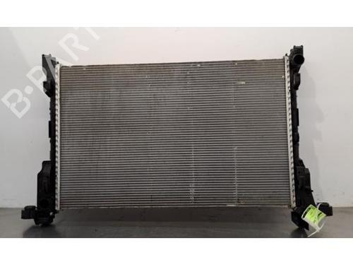 Used Water radiator RENAULT TRAFIC III Van (FG_) 1.6 dCi 125 (FGMH) (125 hp) 29703449