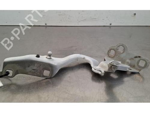 Used Hinge/Door check strap Hinge/Door check strap RENAULT TRAFIC III Van (FG_) 2.0 dCi 130 (FGMY) (131 hp) 36005004 36005004