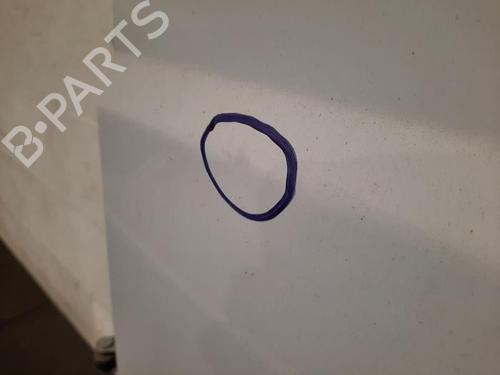 Tailgate FIAT DUCATO Van (250_) 140 Multijet 2,2 D | BP29058006C6 
