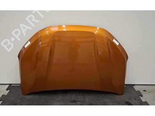 hood-dacia-sandero-iii-2021-40614588 main image