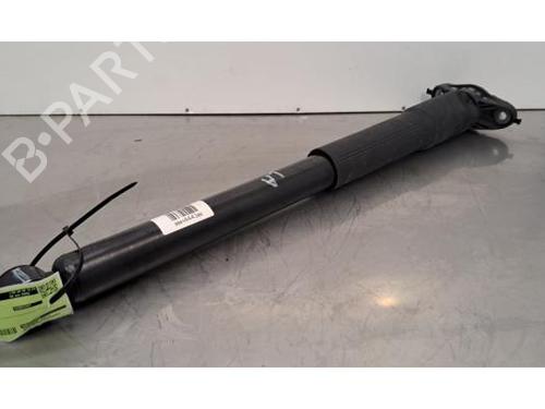 Left rear shock absorber CITROËN C3 IV (CC_, CB_) ë-C3 (CBZYAZ) | BP31162257M18