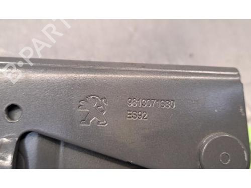 Hinge/Door check strap PEUGEOT 508 SW II (FC_, FJ_, F4_) PureTech 130 | BP29817791C146 